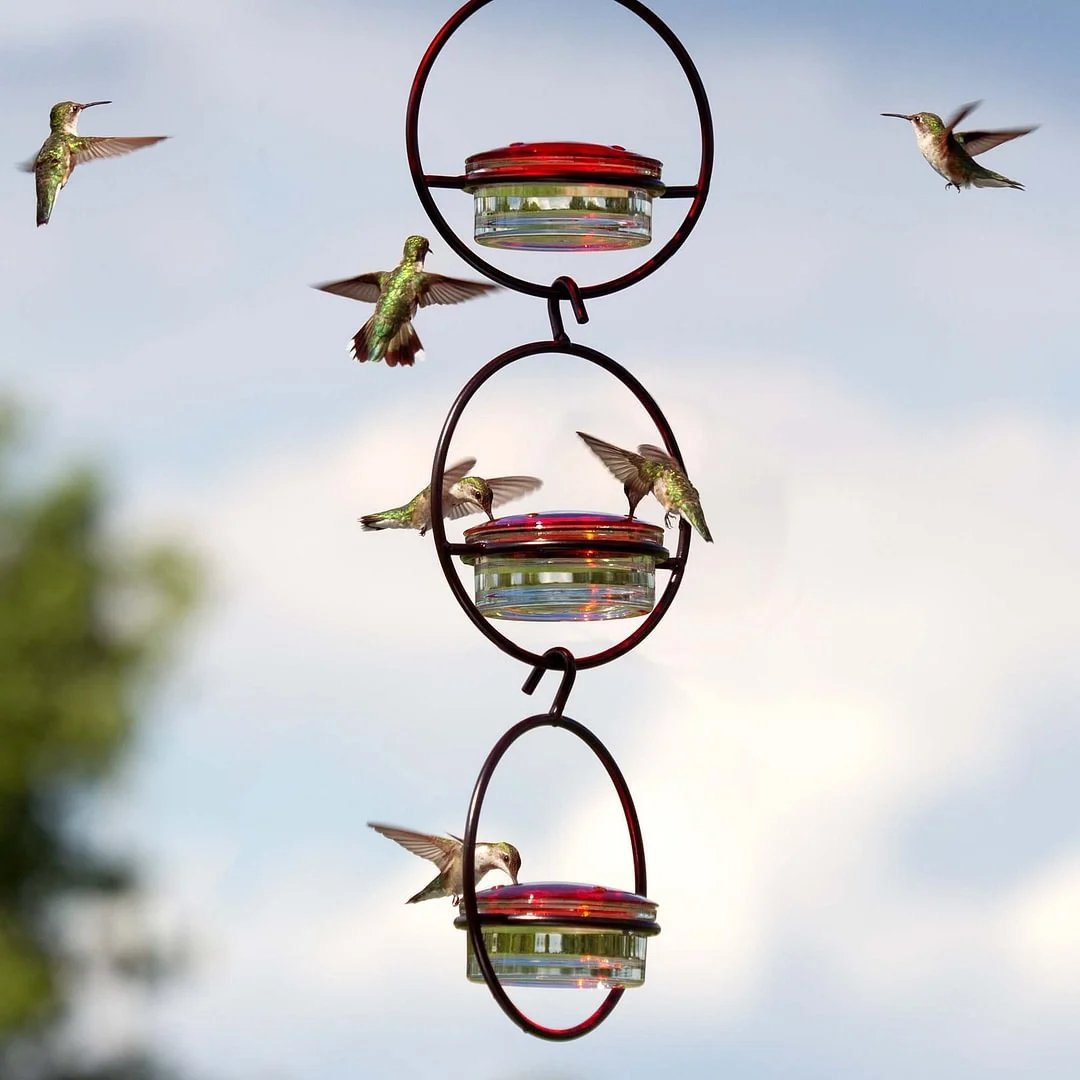 🔥Summer Hot Sale 49% OFF🔥Hummble Slim Hummingbird Feeder