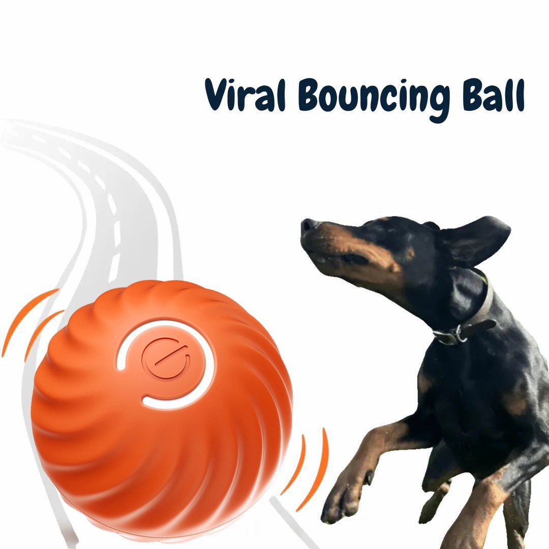 🎄Christmas Flash Sale-50% OFF-Chewie Viral Bouncing Ball